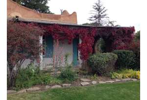 Yarn dyeing demonstration, Heritage Garden Seed & Plant Giveaway, Open House
